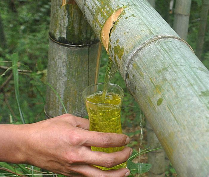 原始包裝設計 原始包裝設計