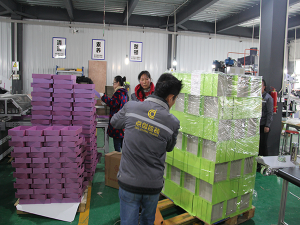 廠房工人在裝箱 廠房工人在裝箱